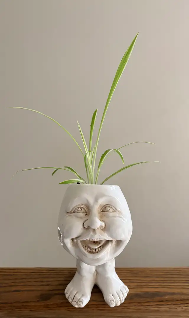 Face Planter482653423272601600