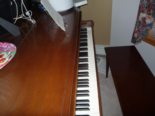 Baby Grande Piano in Pianos & Keyboards in Medicine Hat - Image 4