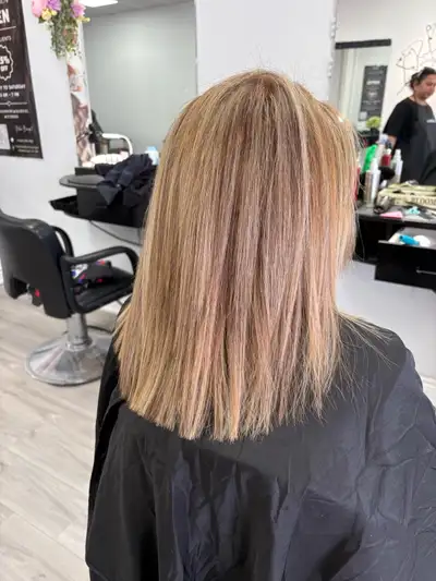 highlights , View more