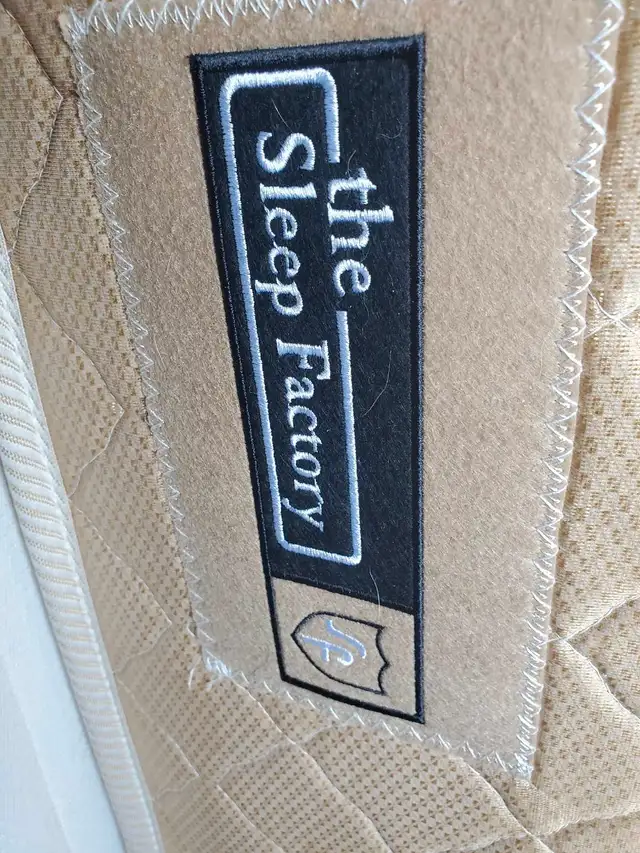 Free Queen pillow top mattres box spring and frame in Free Stuff in Summerside - Image 4