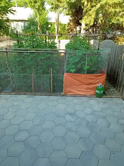 One bedroom near Algonquin College/Centrepoint/416&417—Aug 1