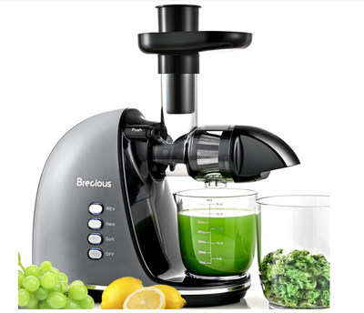Cold Press Juicer Machines,Slow Masticating Juicer Small Feed Chute Machine with Reverse Function, 2...
