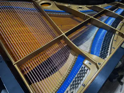 1884 Bechstein Grand  $35,000. Or best offer, View more