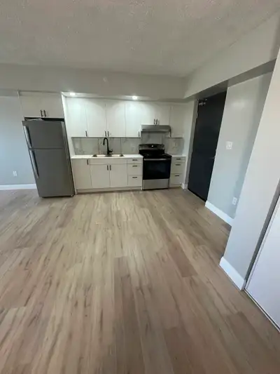 One bedroom apartment available September in Minnow Lake area. One bathroom, fridge, stove, parking,...
