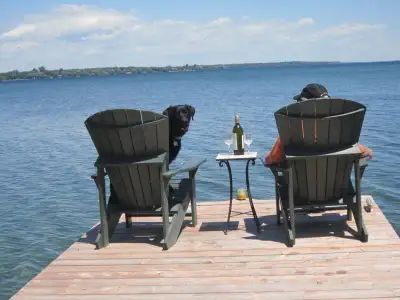 Cottage  for Rent on Wolfe Island., View more