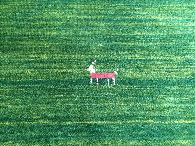 Green, wool Gabbeh rug with geometric figures, designs in Rugs, Carpets & Runners in Ottawa - Image 6