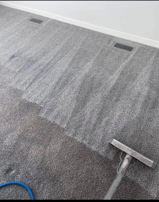 professional Steam carpet cleaning services