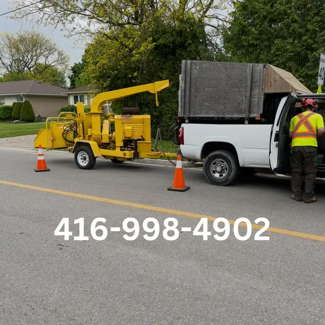 Landscaping and tree work in Lawn, Tree Maintenance & Eavestrough in City of Toronto - Image 3