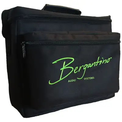 Bergantino Custom Padded Bag for Forte Amp or B Amp, View more