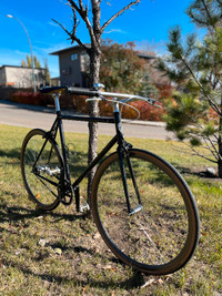 All-City Big Block Custom Commuter Bike Build - 2 Speed (55cm)