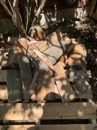 Free firewood - pick up only 