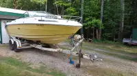 20 ft SeaRay Boat for sale