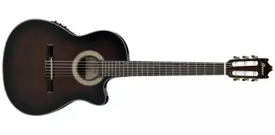 GA35TCE Thinline Cutaway Classical Acoustic/Electric Guitar - Da, View more