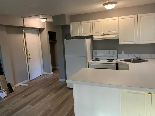 One B/R apartment for rent in Beltline (downtown)