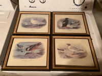 Vintage A. Thorburn Bird Prints