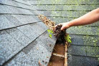 Eavestrough and roof /property cleaning
