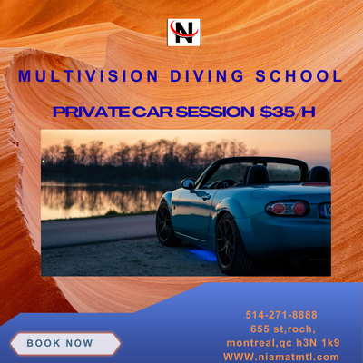 Private Car session (35/HOUR WE ARE THE PROFESSIONAL DRIVING SCHOOL, WITH INSTRUCTOR CERTIFIED BY (...