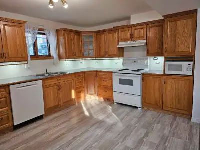 2 bedroom 1 bath basement suite