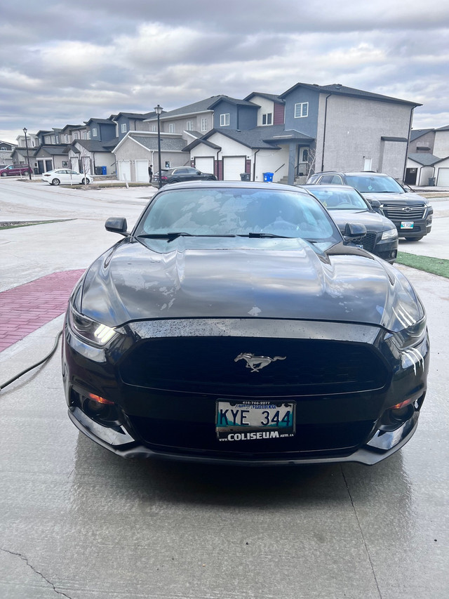 2015 Ford Mustang  in Cars & Trucks in Winnipeg