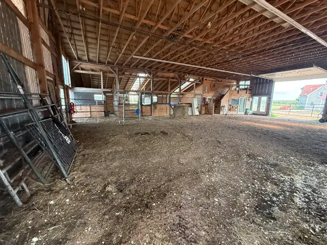 Horse Board  in Horses & Ponies for Rehoming in Moncton - Image 10