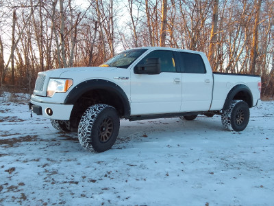 Ford F150 FX4 (Saftied) 2010