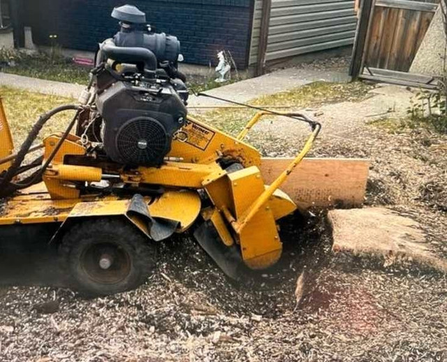Stump grinding,  root removal,  grinder,  trailer moving  in Lawn, Tree Maintenance & Eavestrough in Edmonton