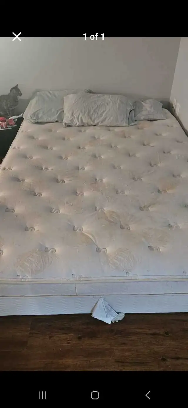 FREE QUEEN SIZE BED  in Free Stuff in Nanaimo - Image 2