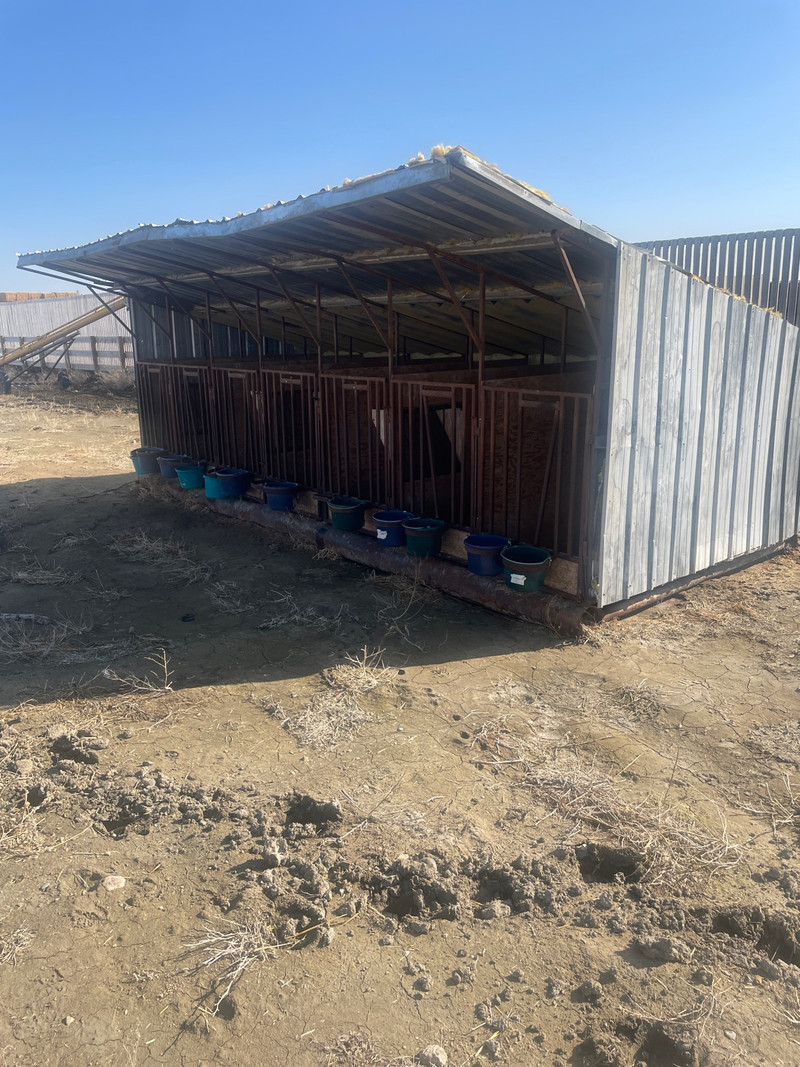 Calf hutches for sale. Other Lethbridge Kijiji