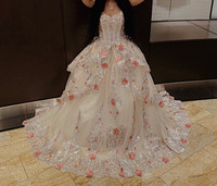 Ball gown/wedding dress/ prom dress/ Quinceanera dress