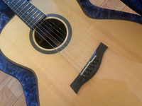 forster acoustic guitar