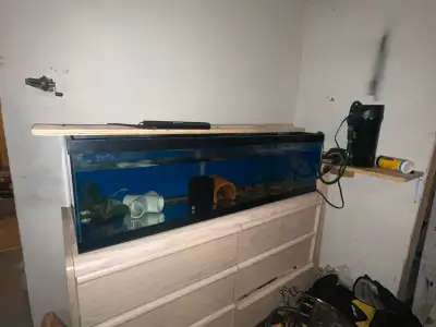33 gallon long aquarium / tank , View more