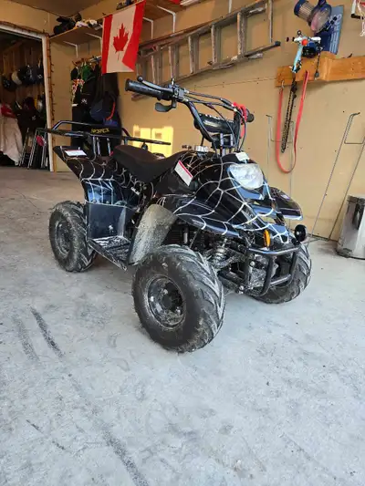 I am selling a used 110cc Tao Motor Kids Quad. This quad is perfect for young riders ready to explor...