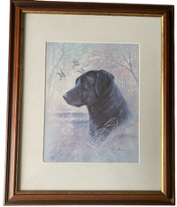 Black Labrador Dog Framed Wall Art (23' x 19")