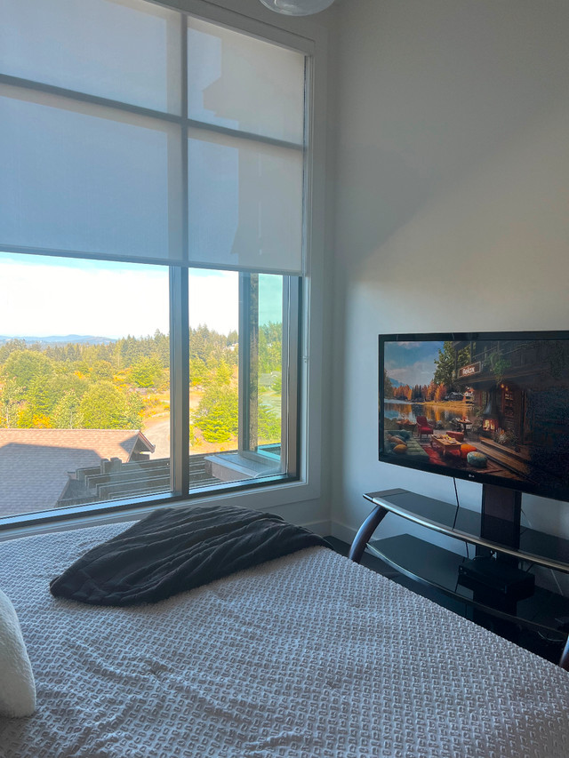 One Bedroom plus Den ( Bearmountain) in Long Term Rentals in Victoria - Image 3