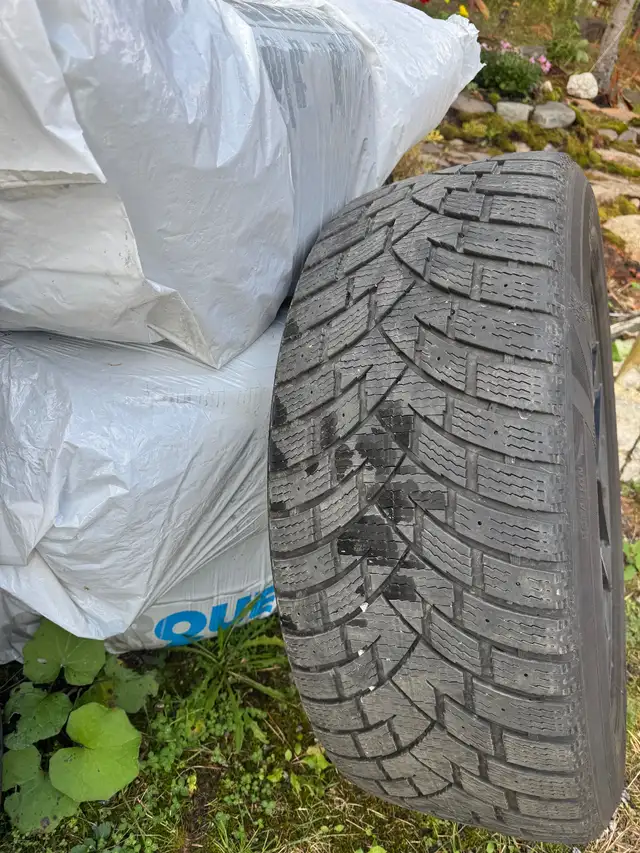 20” winter tires and rims in Tires & Rims in City of Halifax - Image 3