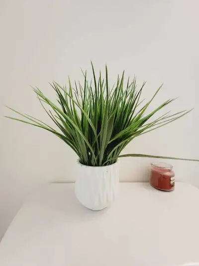 Artificial Plant, View more