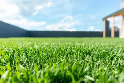 Looking for jobs involving lawn care. I have experience in - grass cutting - edging - lawn cleaning...