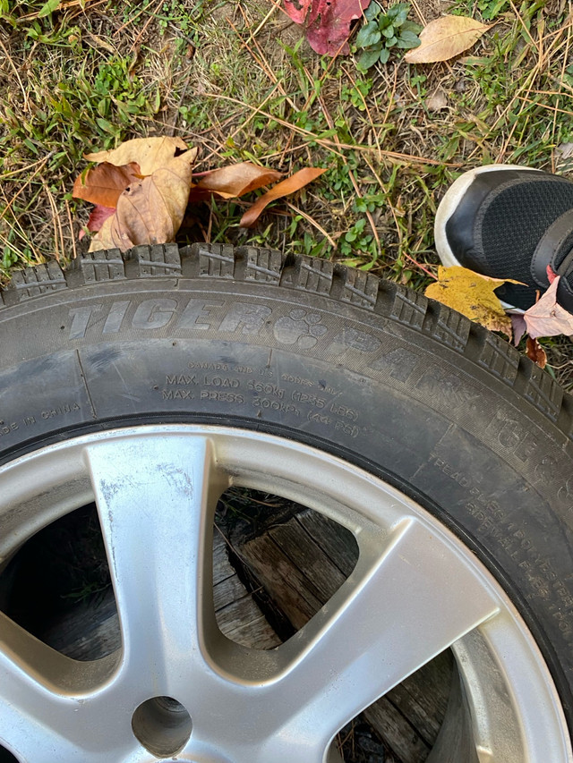 14” winter tires on rims  in Tires & Rims in Muskoka - Image 3