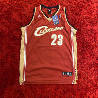 LeBron James adidas Cleveland Cavaliers Jersey (Men's XXL)