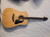 Ashbury Guitar