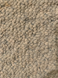 Beige carpet -used
