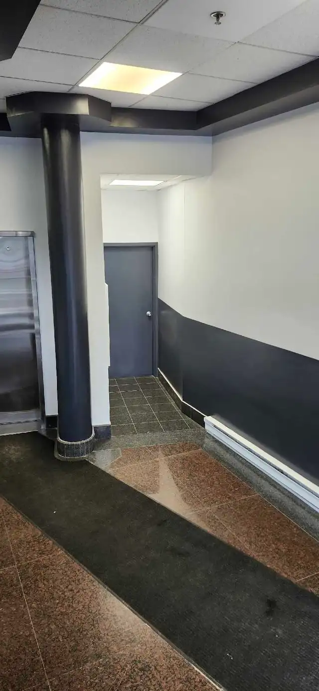 Experienced Professional Painters569242524950220805