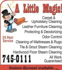 Carpet & upholstery cleaning 