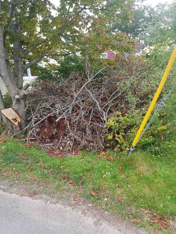 Spring cleaning / yard cleanup/ junk removal services 9024484667 in Cleaners & Cleaning in City of Halifax