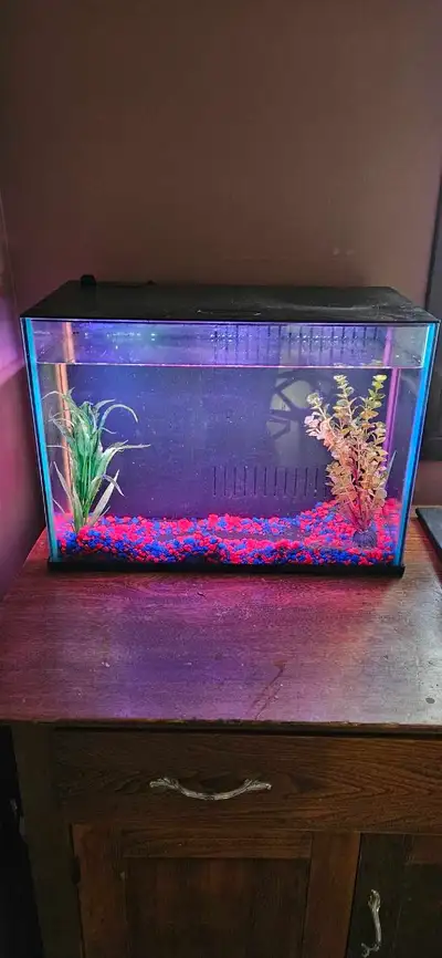 I'm selling a used 3-gallon fish tank, perfect for a small aquatic setup. Working filter +extra cart...
