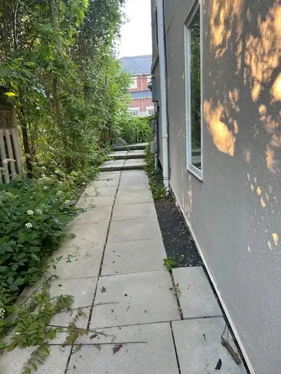 Cozy 1-Bedroom Basement in Richmond Hill