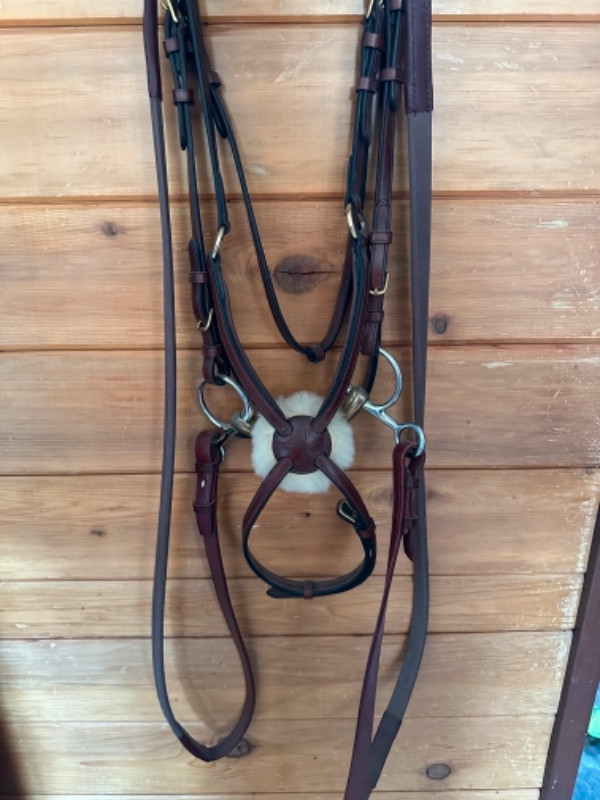 Brand New English Bridle complete with bit in Equestrian & Livestock Accessories in Edmonton - Image 2