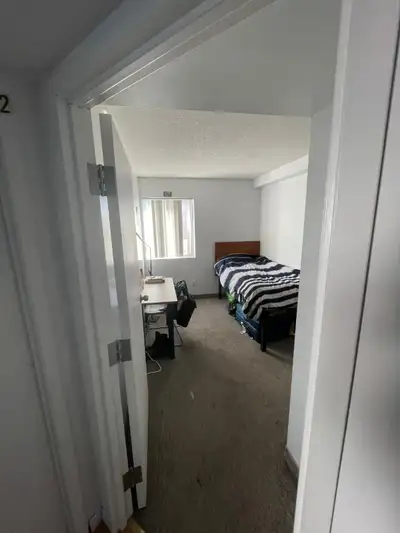 Spacious and cozy private bedroom available in a 5-room apartment at 316 King Street North, Waterloo...