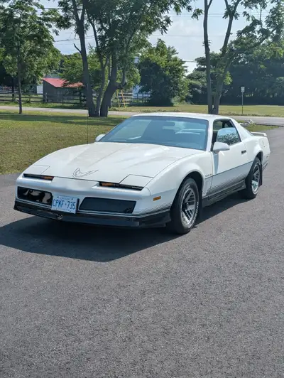 1984 Trans Am, original mileage. 2nd owner. Garage stored for 27 years. Mint Condition. no rust. The...