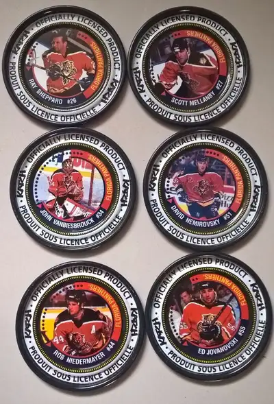 NHL Florida Panthers Hockey Katch Coins, View more